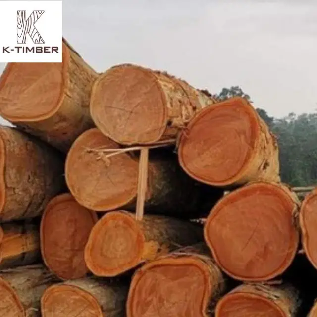 Квадратное бревно Sapele от поставщика из Анголы ограниченное количество сырья натуральная деревянная Строительная мебель Лучшая цена