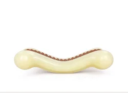 Gaosheng Dog Toys Aggressive Chewers Durable NonToxic Nylon Dental Care Chew Toys Bone Puppy Dogs Teething