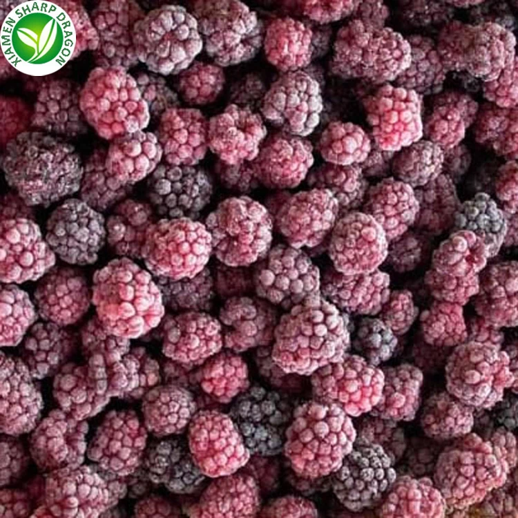 Bulk price fruit pulp iqf frozen blackberries