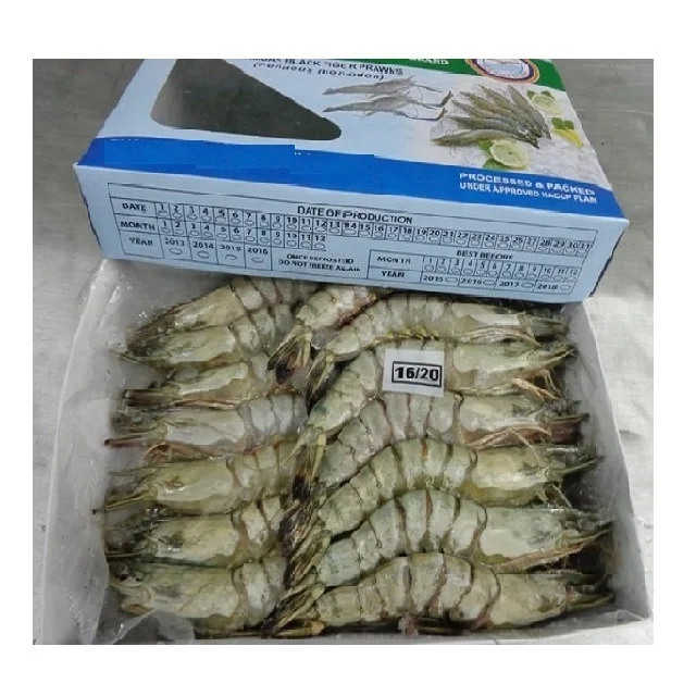 
Black Tiger Shrimp HOSO 16/20 