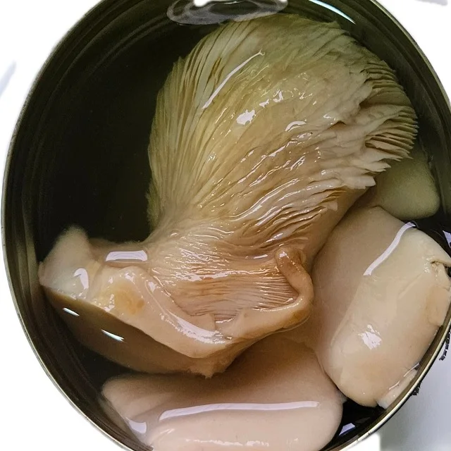 OEM China New product Factory price Canned Bailing Mushroom with top quality