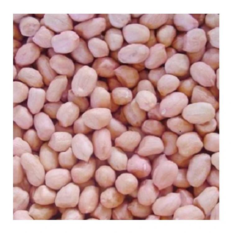 Top quality 100% natural Dried Kernel Peanuts Or Groundnut Seeds