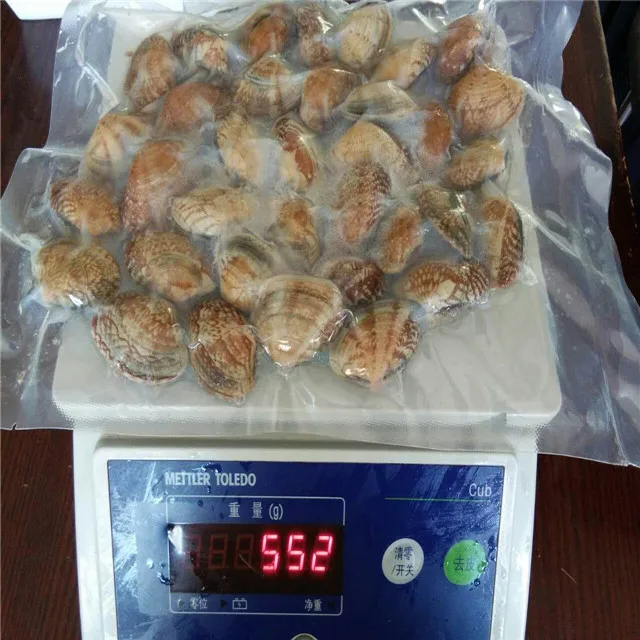 
FROZEN COOKED NEW PRODUCED BABY CLAM 