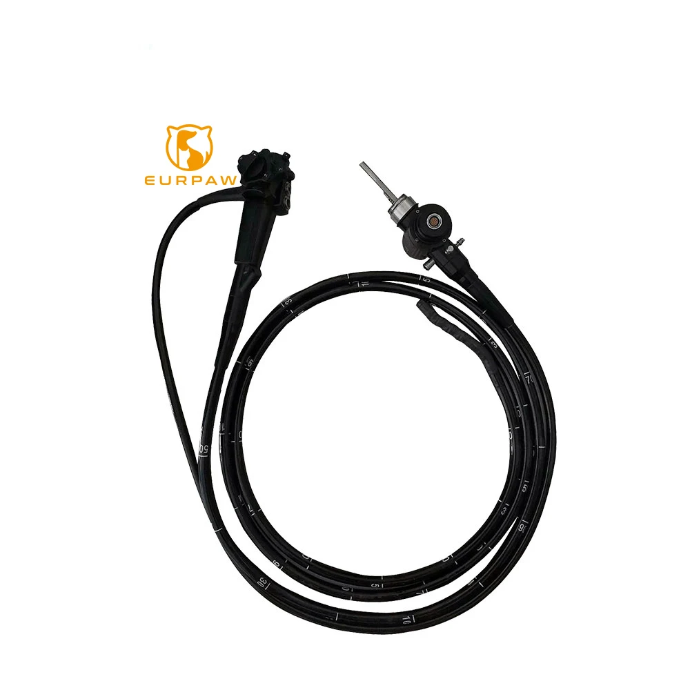 EURPET Veterinary Equipment  Veterinary Surgical Instrument Portable Type Colonoscope for Clinic