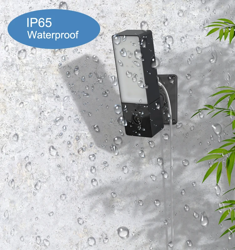  Умная наружная ip-камера tuya 1080P садовая настенная камера с датчиком