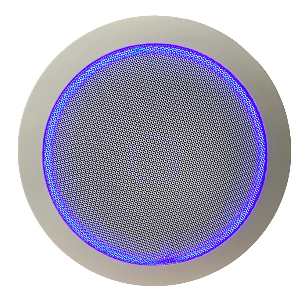 amazon alexa echo dot 4th generation voice AI Control ceiling speaker