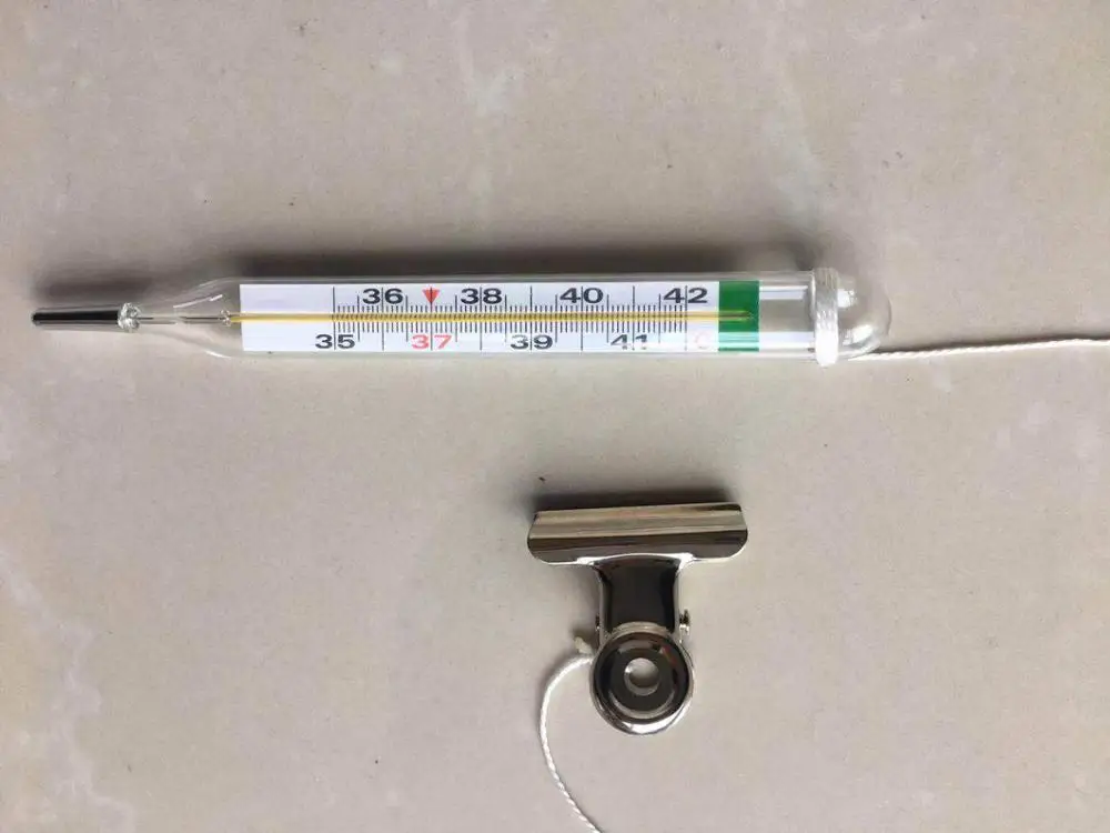 Недорогой ветеринарный клинический цифровой термометр без ртути для рекламы