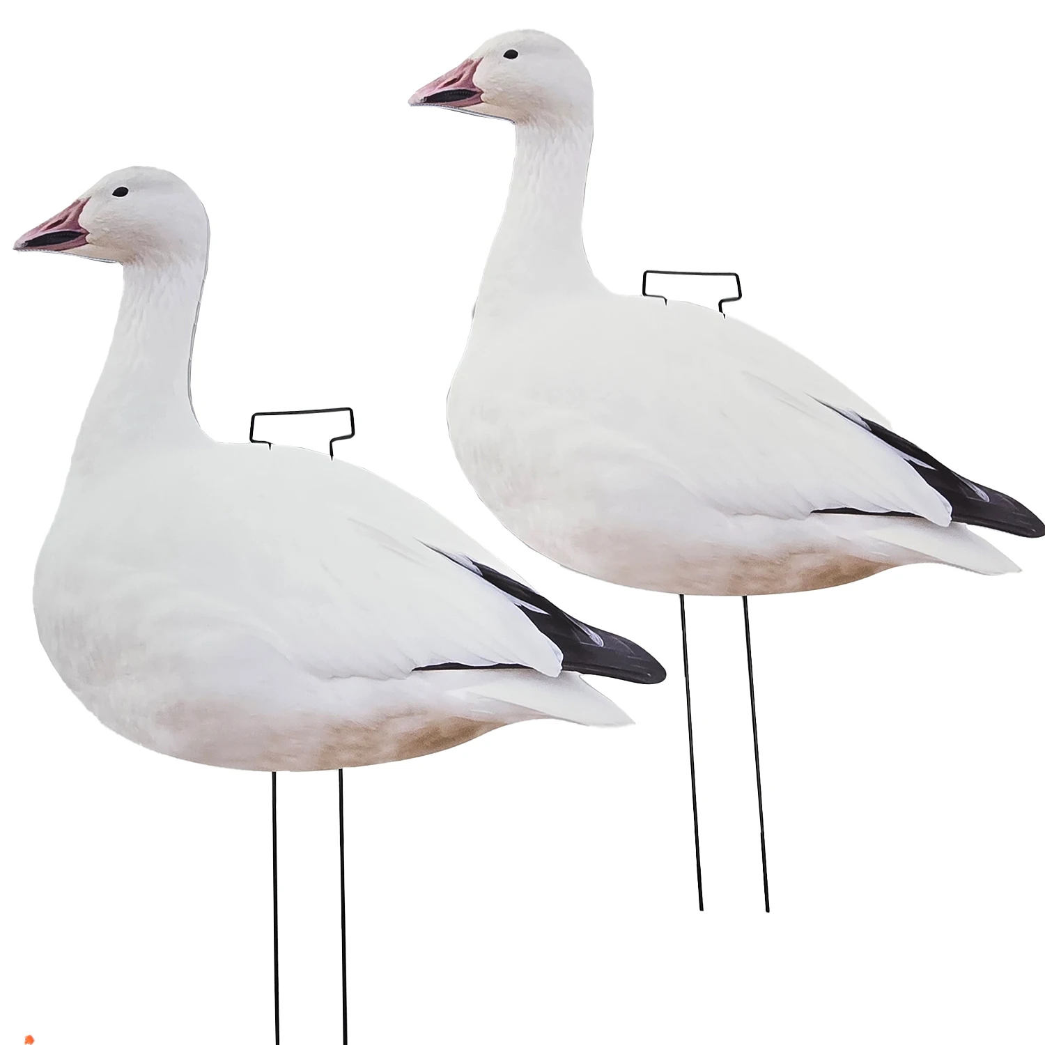 Special PE Sheet  Multi-Color Printing Waterproof and Fade-Proof hunting goose Silhouette Decoys