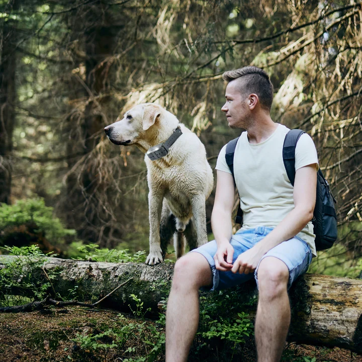 2 in 1 Remote Dog Training Collar & Bark Control 2024 Train Your Pup Up to 3/4 Mile Away with 4 Modes Beep Vibration Shock LED