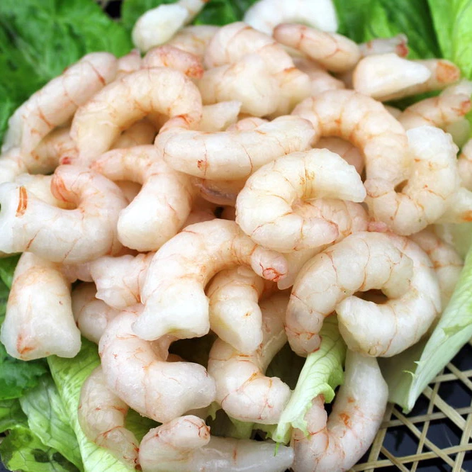 Fresh seafood  Frozen Whole  shrimp /red  shrimp for sale