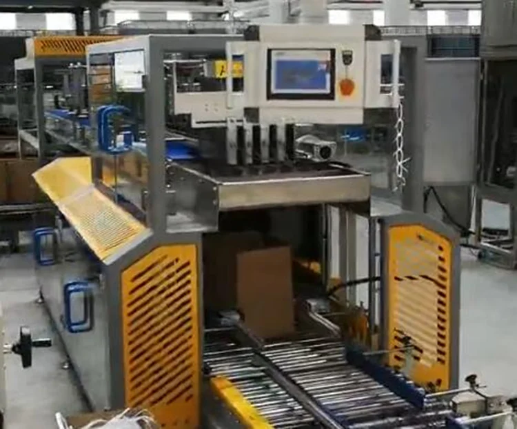 FILLING AUTO BRAND Manufacturer Customized Full-Automatic Box Packing Machine Drop Packing Machine