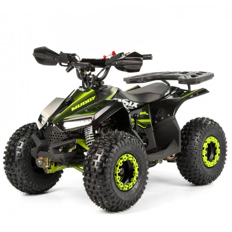 Tao Motor 2024 Kid Automatic with Reverse Chain Drive Mini Quad Bike 110cc ATV for Children
