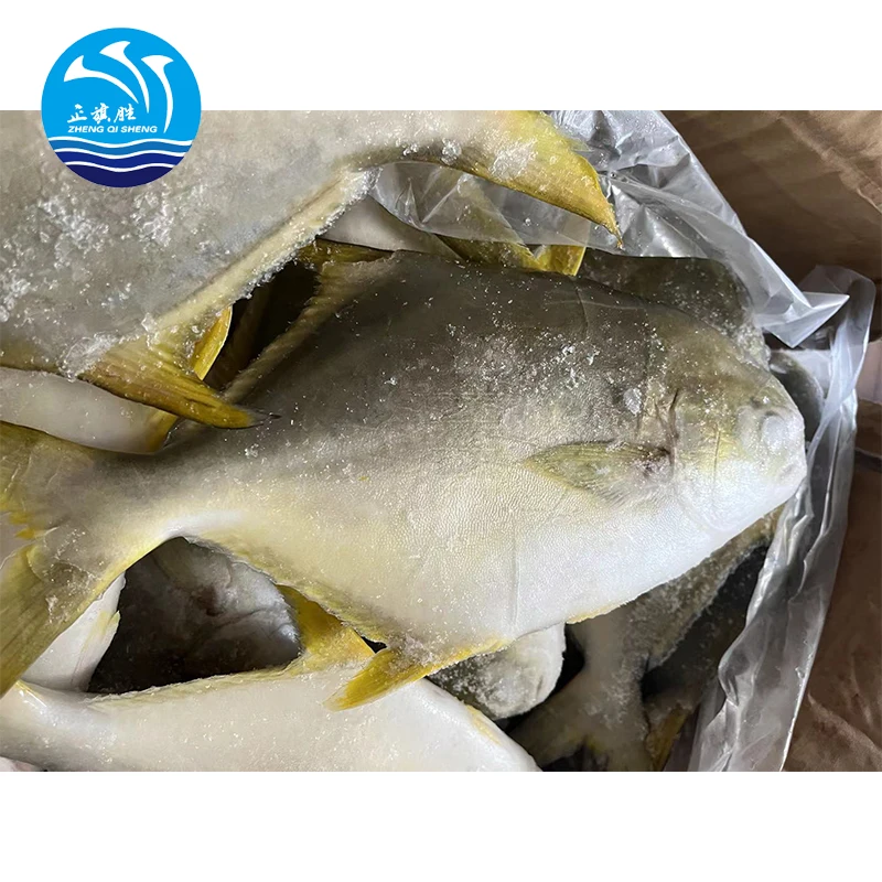 Frozen Fish Chinese Seafoods Golden Pompano Fish Golden Pomfret 300-400g 10kg/ctn with 24 Months Shelf Life