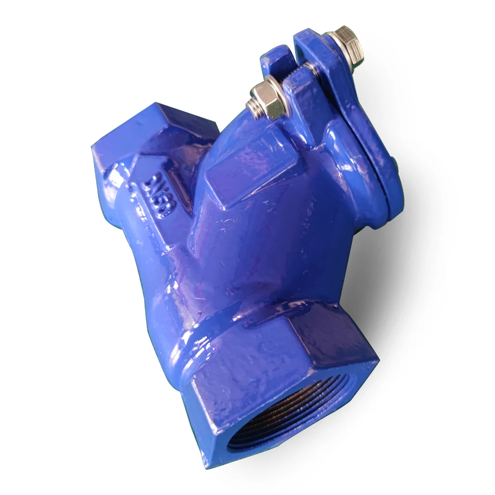 Customize Ductile Iron  type PN10 Pn16 Ball Type  non return Valve