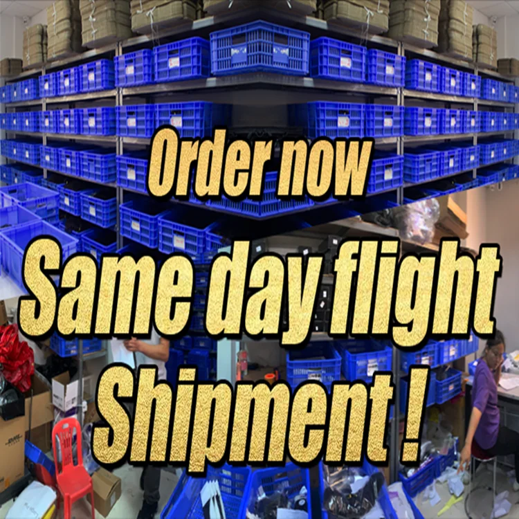 italian curly (12).jpg