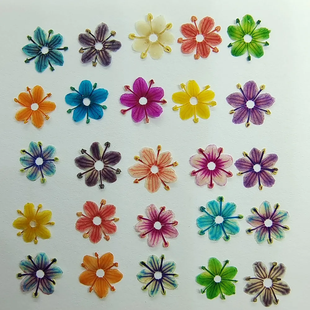 Hot sale new nail dried flowers nature pressed dried flowers for nail art dry flower nails