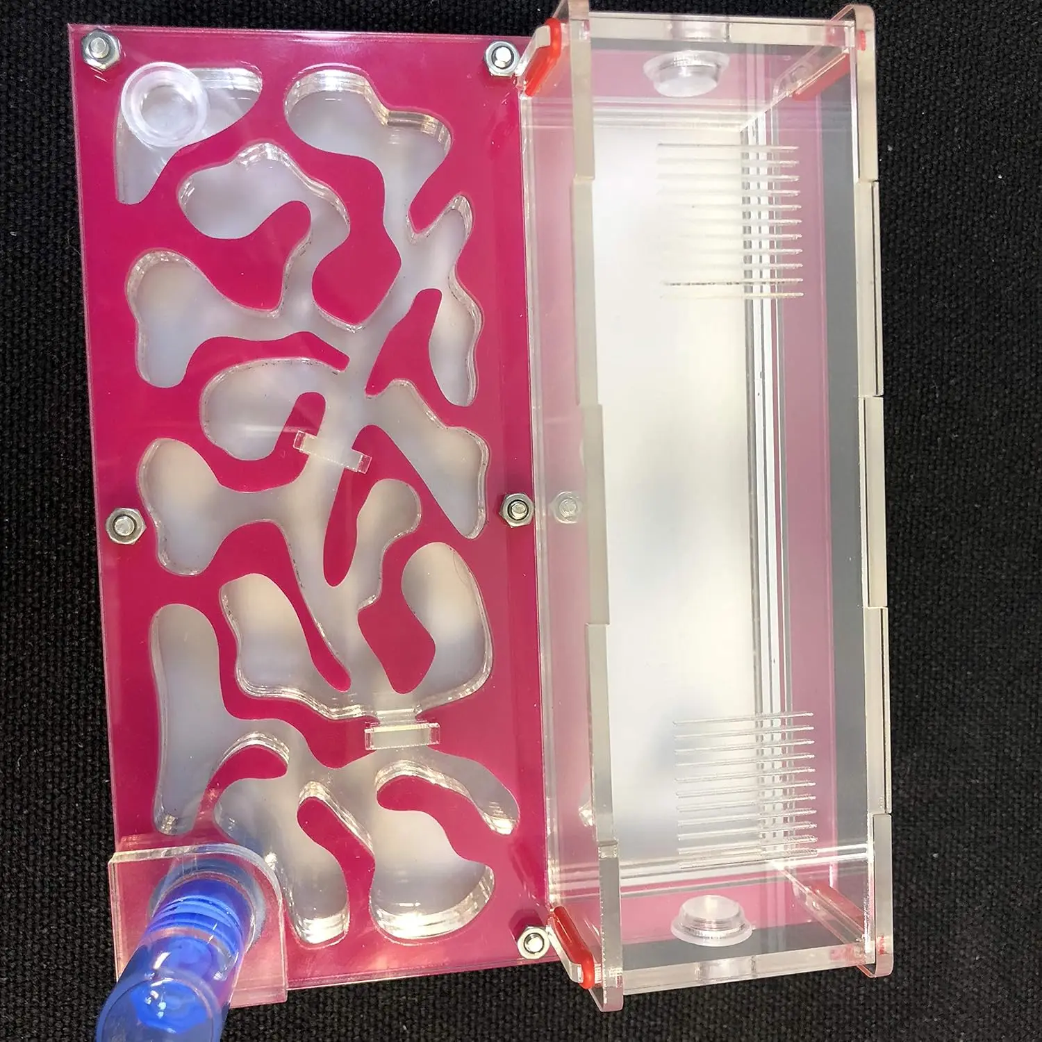 acrylic ant breeding box hot selling small ant rest house nest
