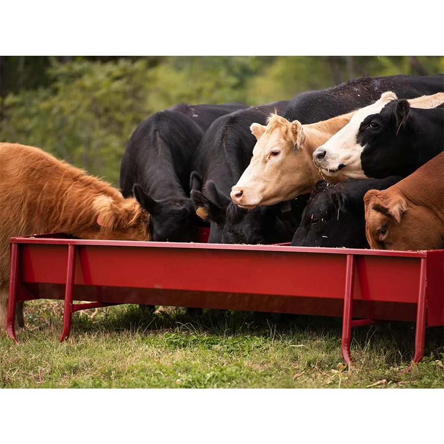 Livestock Farm Equipment Outdoor Red Metal Steel Hay Calf Feeders Cow Feeder Trough