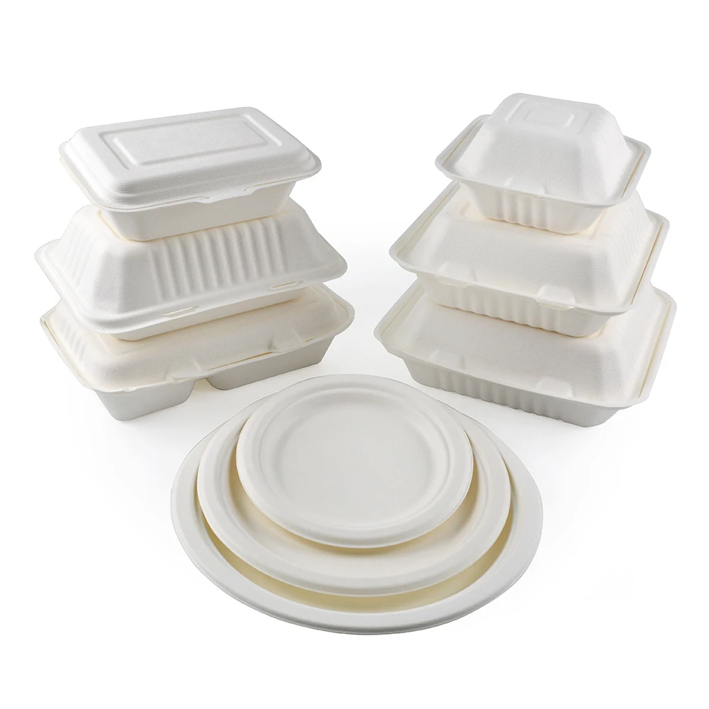 Wholesaled biodegradable Eco food packaging take away boxes compostable disposable food container