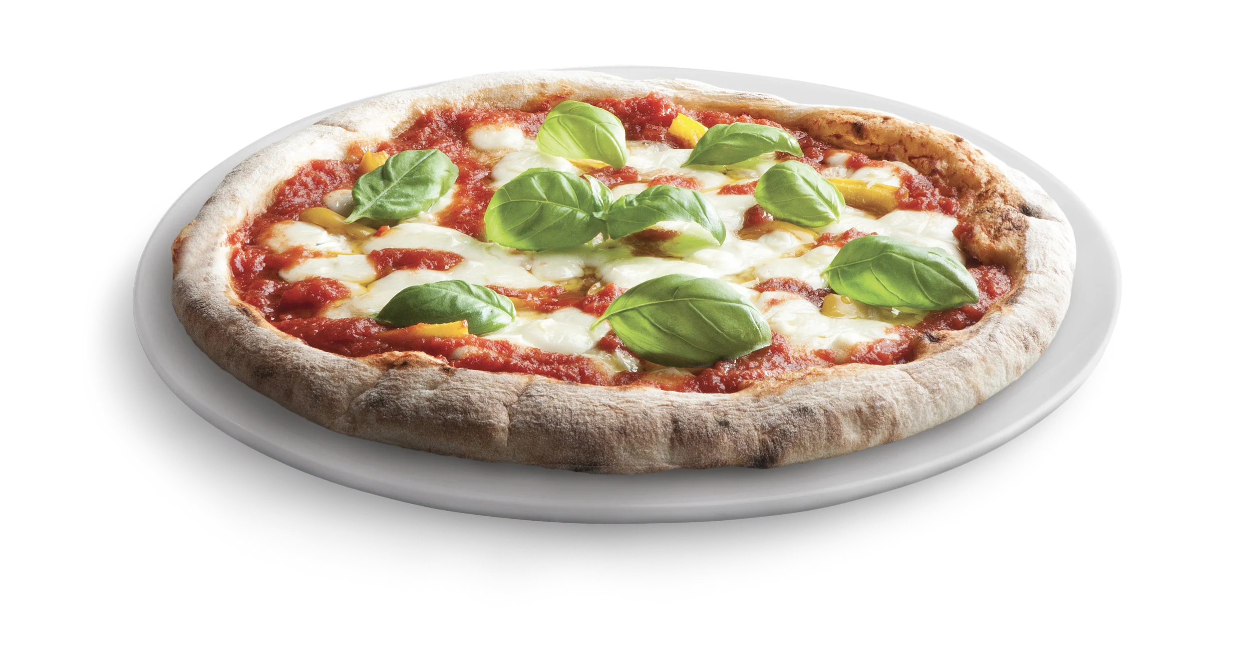 Made In Italy 1Kg Mozzarella for Cooking Fiordilatte Block Fresh Cheese for Pizza Export