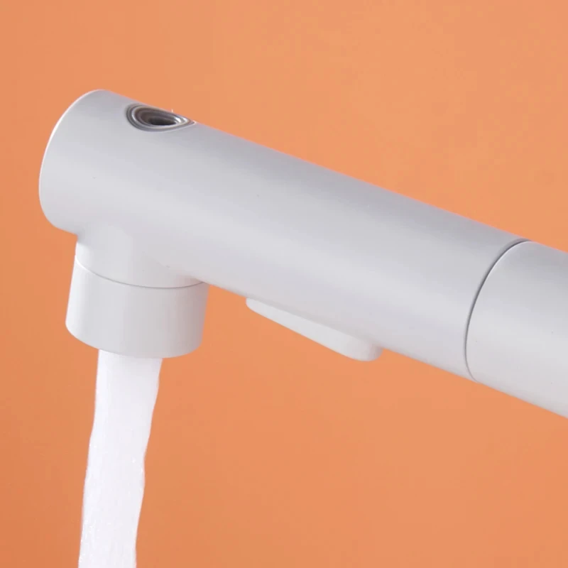 Pull Out 2 Functions Basin Faucet Brass Body with Sprayer White Gold Grey Black Rose Gold Hot and Cold Mixer Bathroom