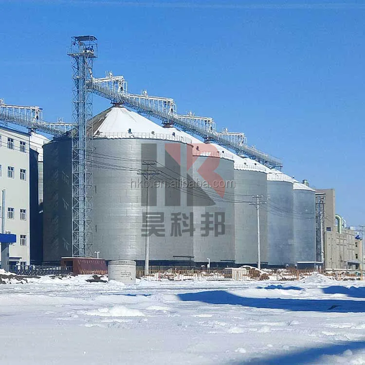 Seed Silo 10000 Ton Farm Used Grain Silos for Sale Silo Prices