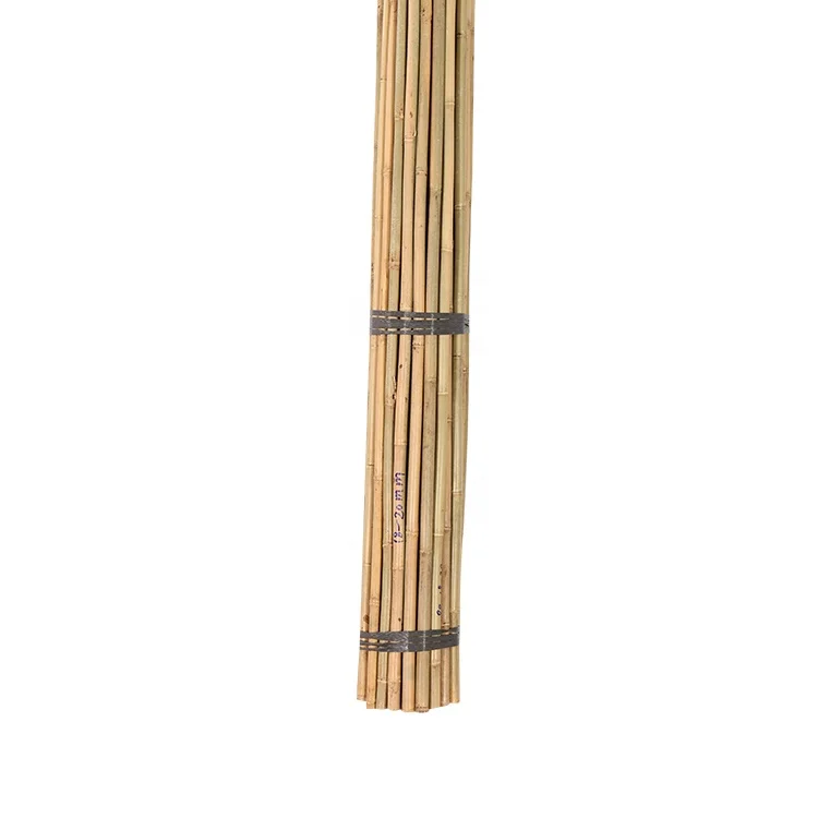 High Quality  Bamboo Poles , Bamboo stakes for plants Standfor plant support