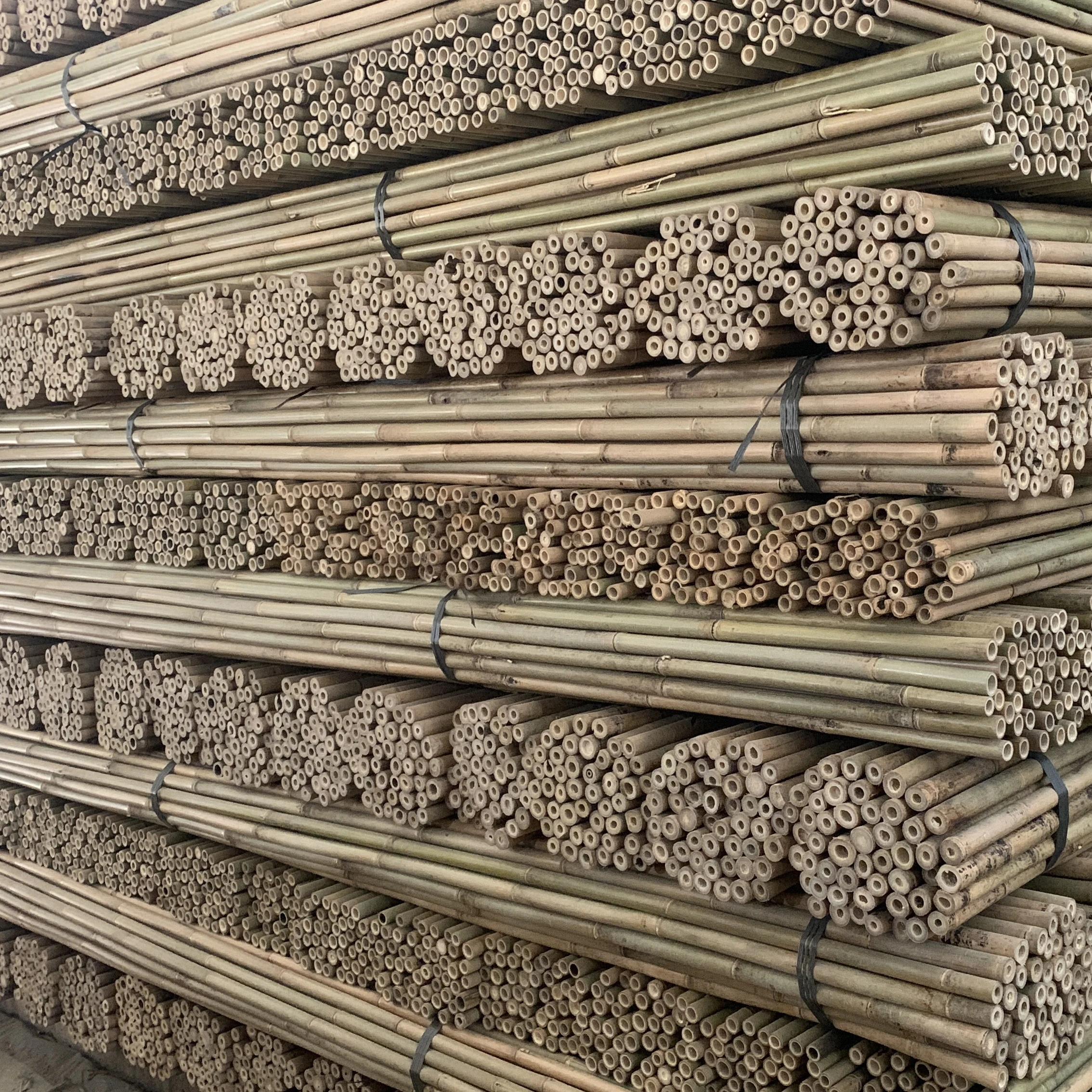 Natural Eco-friendly yellow raw bamboo poles For Plants Stand