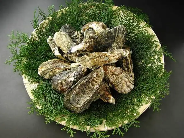Замороженные морепродукты Устрица разумная