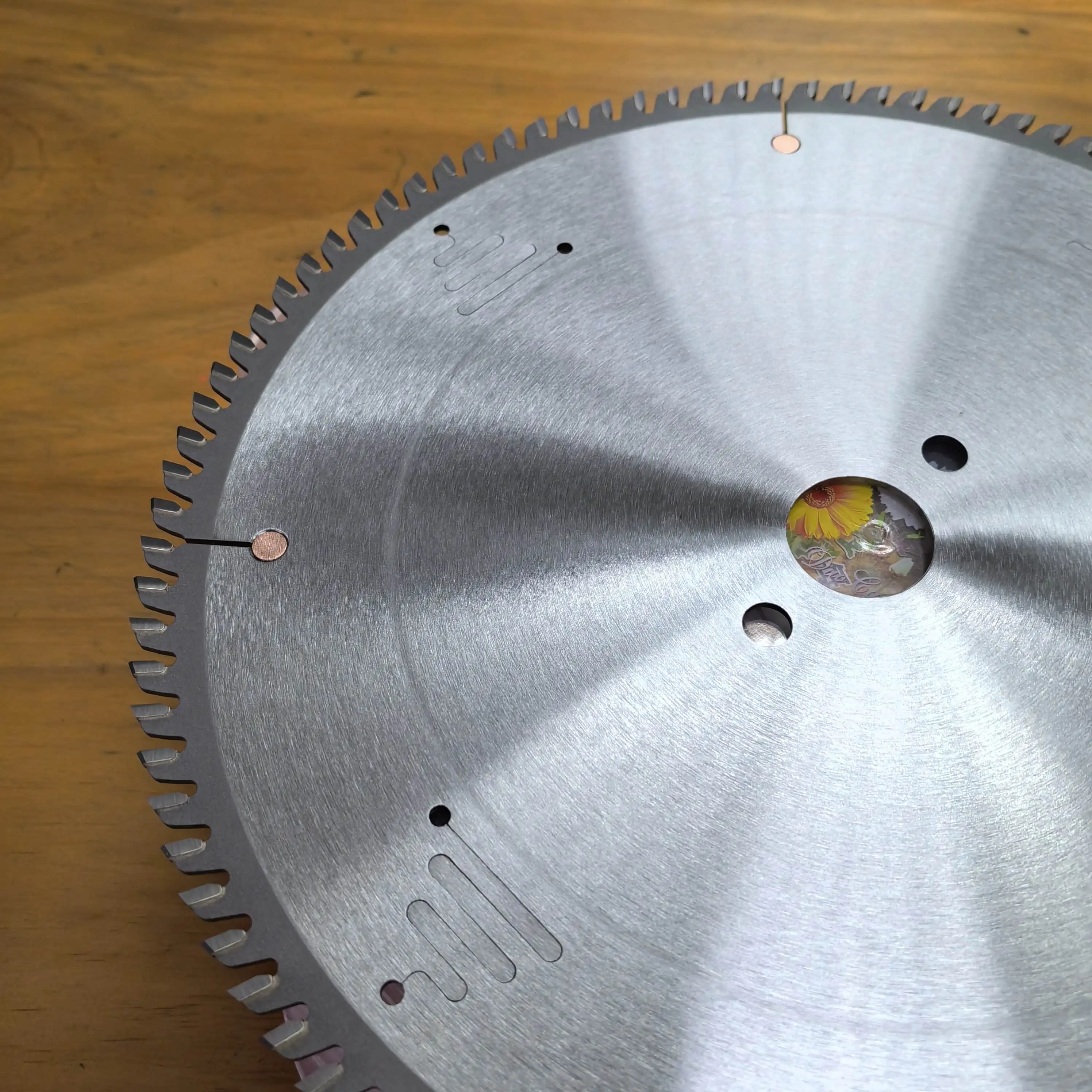 Freud Italy Style TCT Circular Saw Blade 300x3.2/2.2x30x96z TCG for Wood Cutting