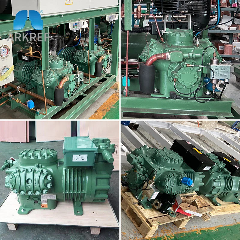 Система смазки Bitzer 2GES-2Y-40S, одноступенчатый возвратно-поступательный компрессор для холодильника