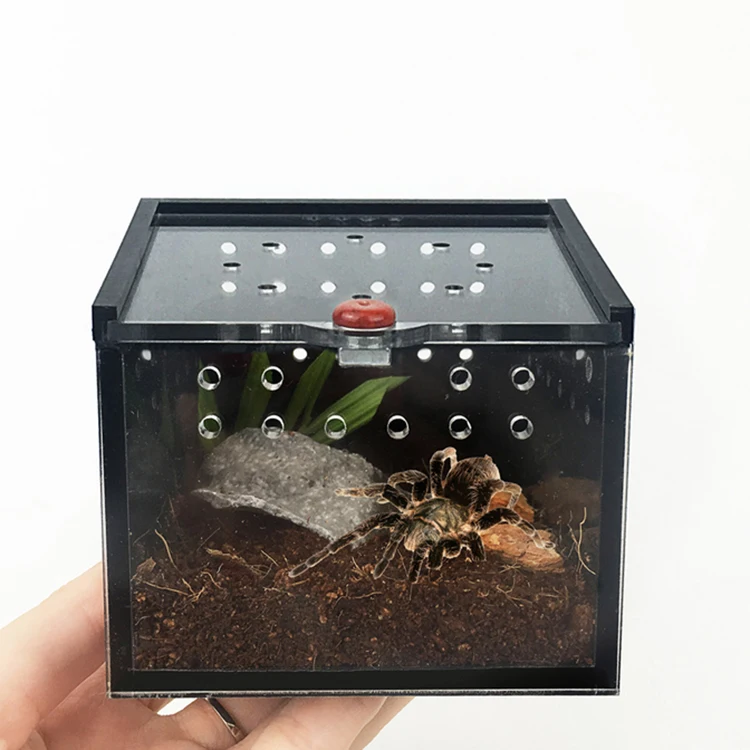 Spider Box Plastic Terrarium Breeding Case For Gecko Lizard Scorpion Unicorn Insect Black Acrylic Reptile Cage