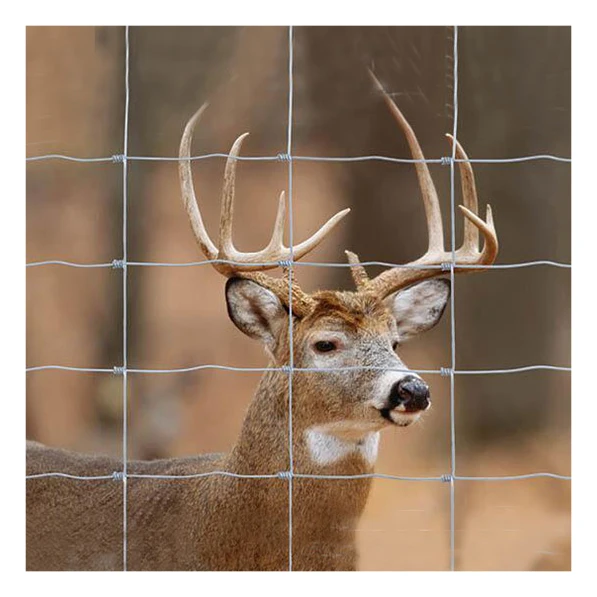Высокопрочный горячеоцинкованный высота 7 футов 8 забор с фиксированным узлом для ограждения оленей сетка домашнего