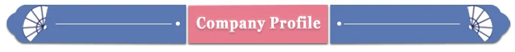 company profile (2).png