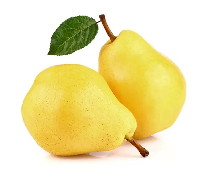 Great material fresh pear price good fragrant Golden pears