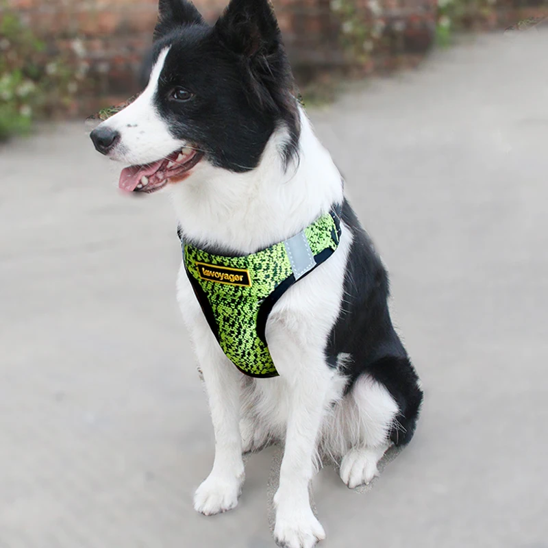 Flyer Knite No Pull Adjustable Step in Dog Harness Step in air with Pad Vest Dog Harness