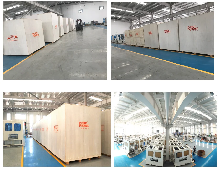 newly developed high speed accuracy omron scara robot with good price