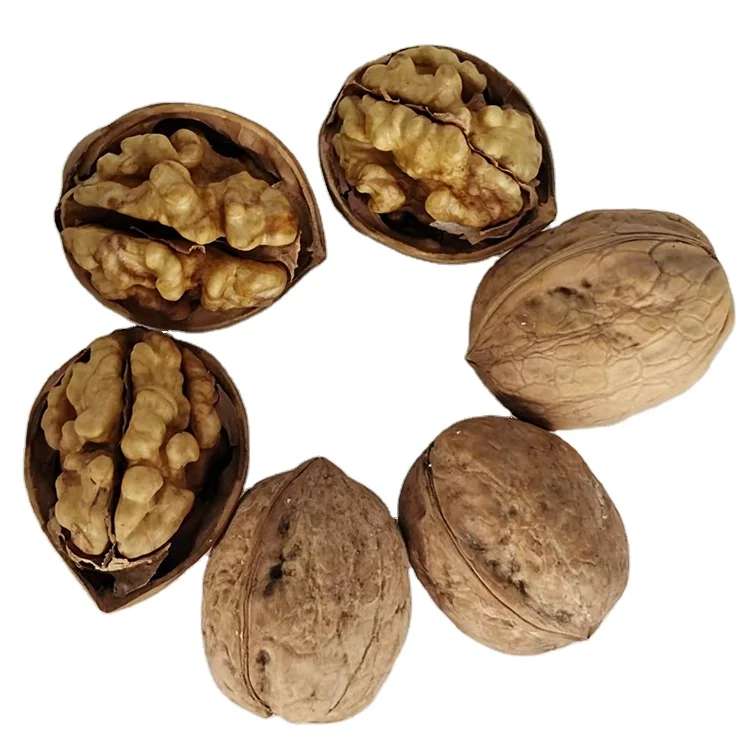 Производитель оптовая продажа Китай Северный орех высокого питания Натуральный Свежий из тонкой