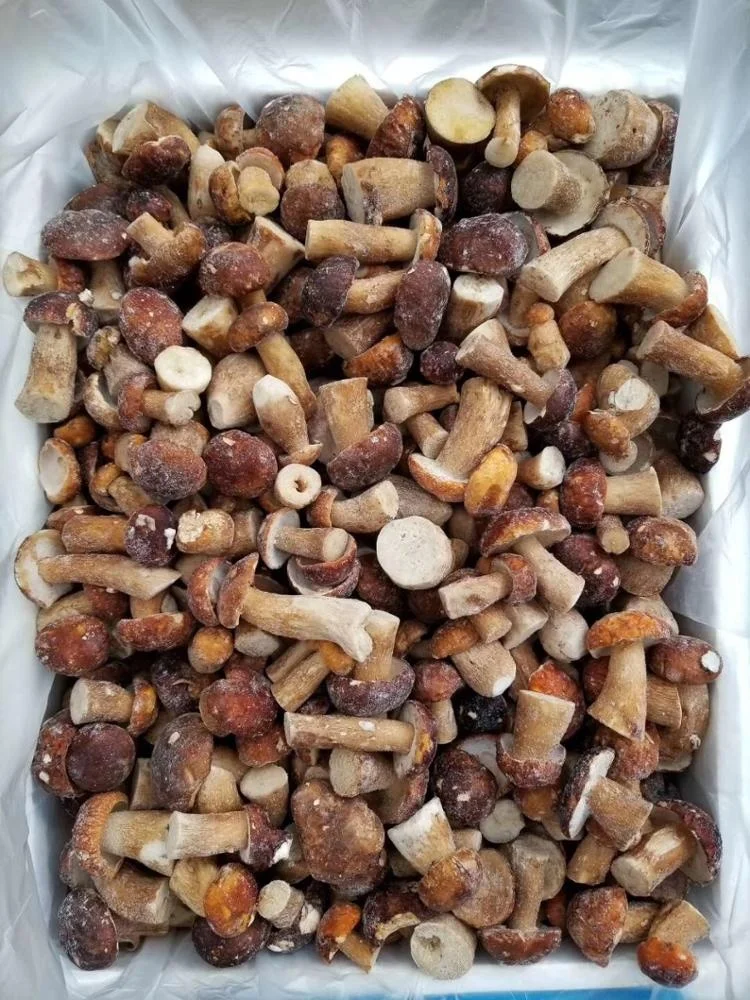 Factory Price Premium Quality Bulk Frozen Boletus Edulis Whole 2-4CM