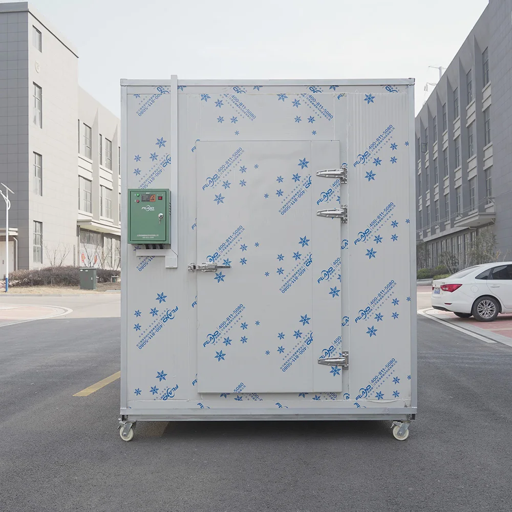 Small Cool Chamber, Walk In Freezer, Cold Storage Room for Meat Frozen