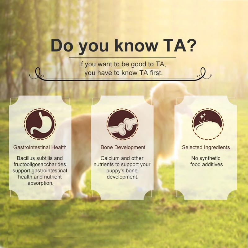 Manufacturer High Energy Additive-free good healthy Custom Private label Irresistible Taste high protein dog food for sale