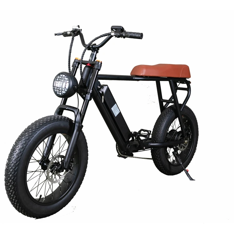 cafe racer electric bike cargo free shipping electric bikes bicycle kit wholesale electric belt drive bike in korea