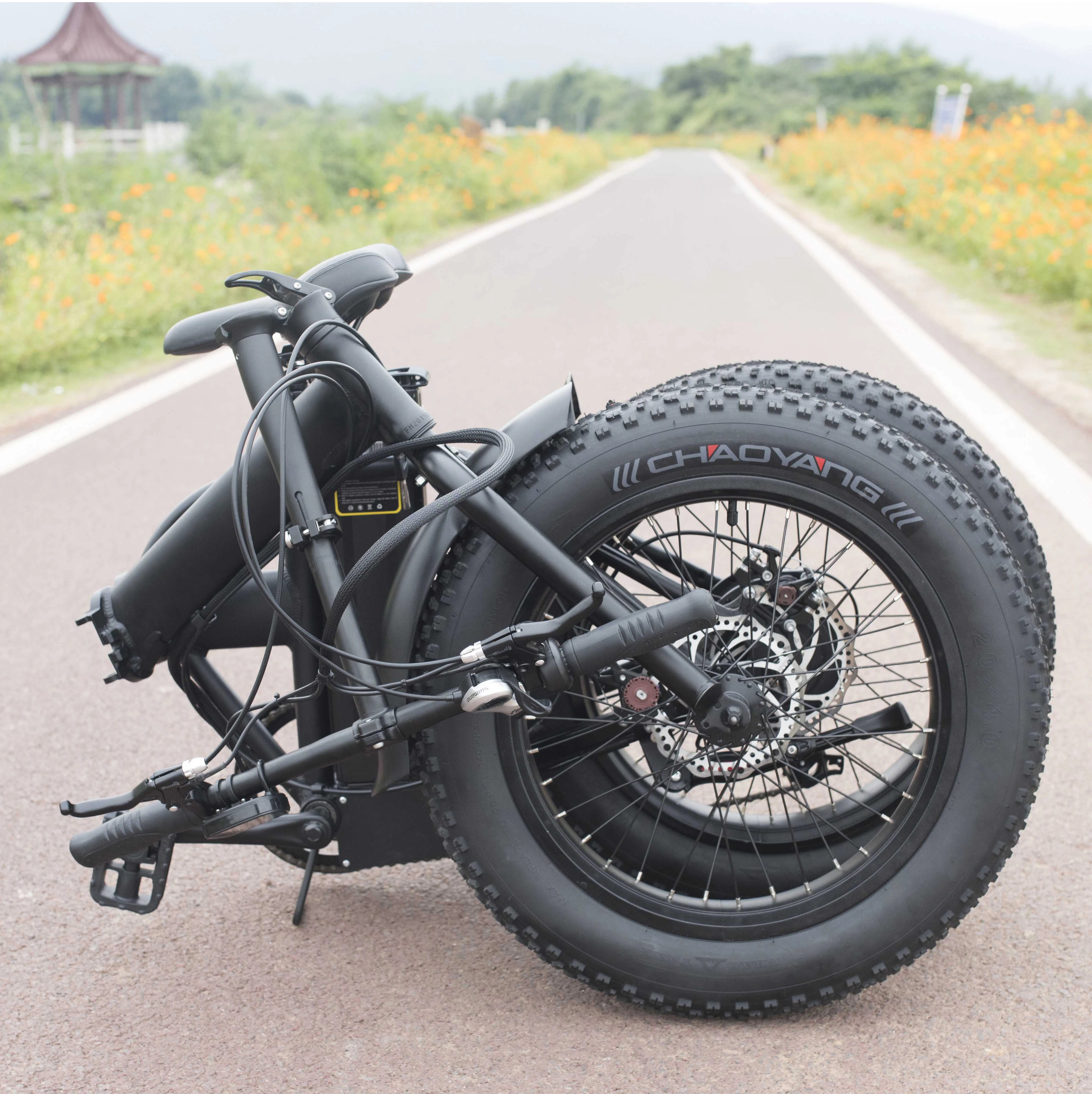 Lithium Battery 48V xingyue electric bike for USA market