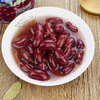Hot Sell Borlotti Beans Good Tasted for Soup Organic Red Kidney Price With Dried Style
