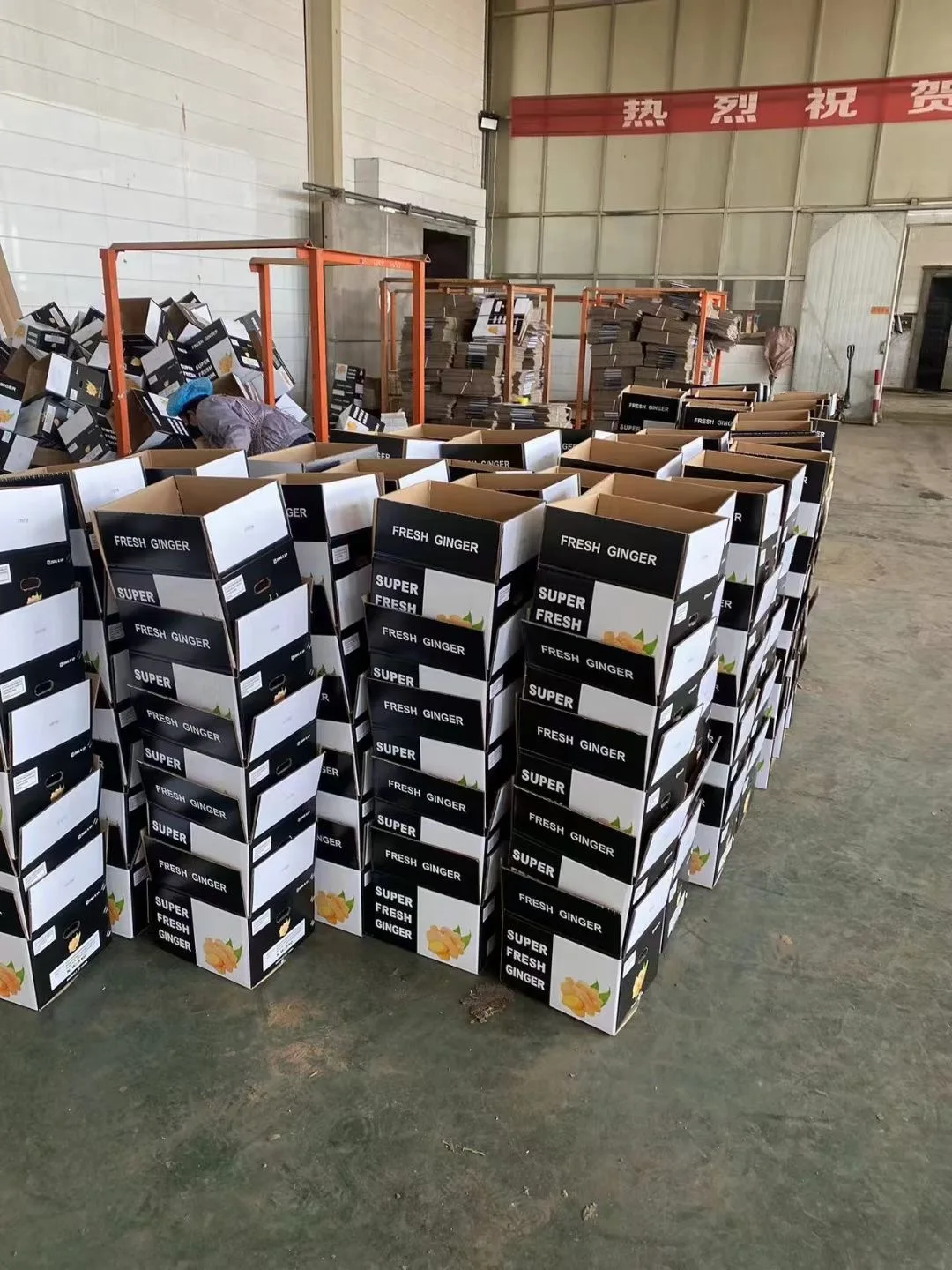 China Ginger Manufacturer Best Price New Season Ginger in bulk Top Quality Fresh Dried Ginger