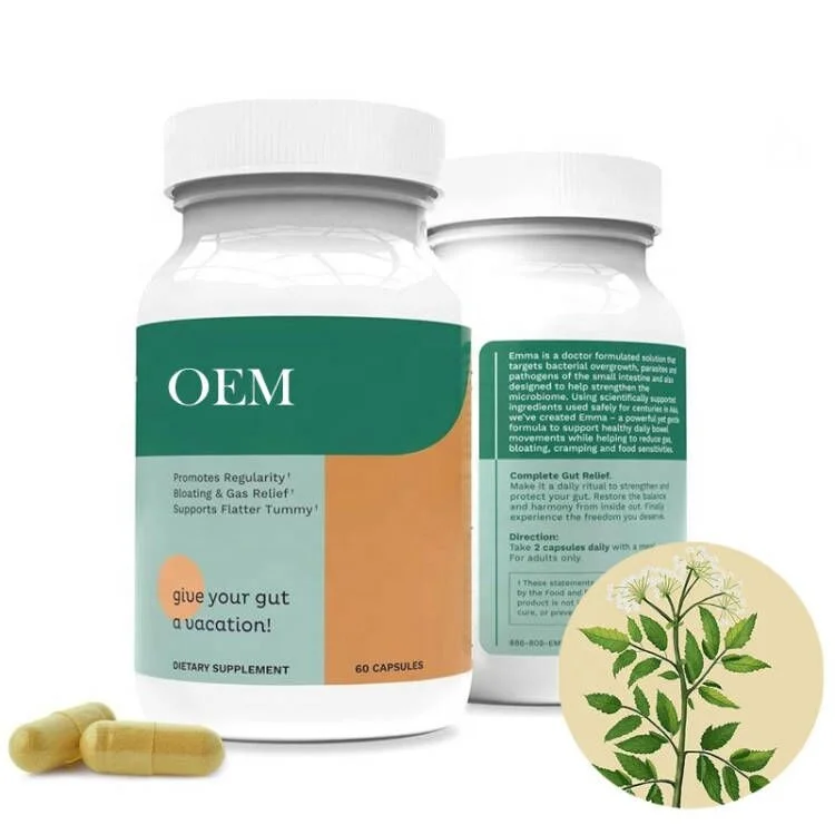 Custom logo Gut Health Probiotisc Herbal Supplements emmaa gut health  60 capsules