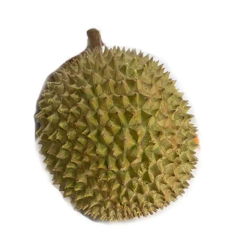Оптовый поставщик в Малайзии D197 AA свежезамороженные Mao Shan Wang Musang King Durian