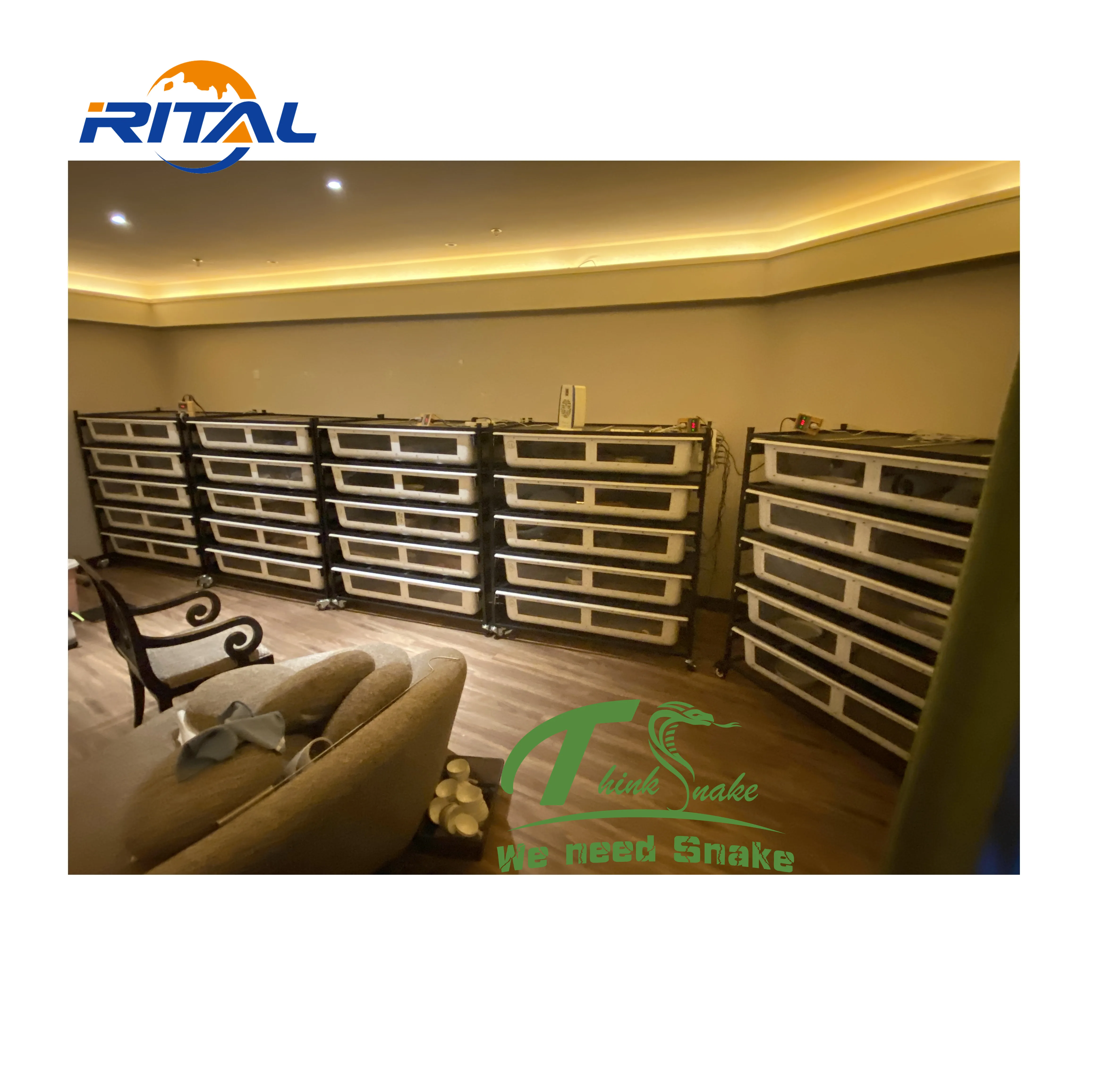 PVC Reptile Enclosure Snake Rack Supplies Terrarium Hide cages Display Case Tank Feeding Tubs Box Serpent System