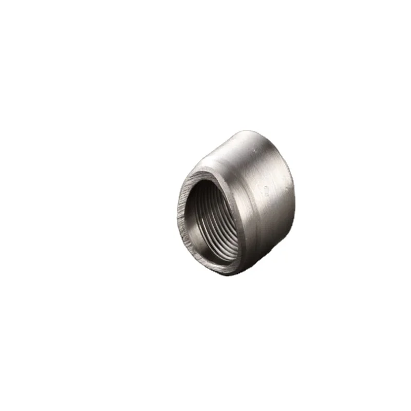 Carbon Steel Forged fittings Socket-welding and Threaded ASME B1.20.1 Nipolet