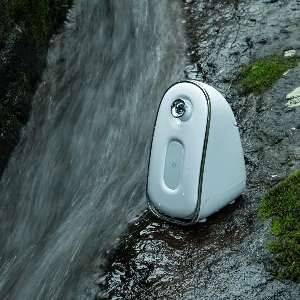 2 in 1 New Electric professional facial steamer with high frequency for face and nose